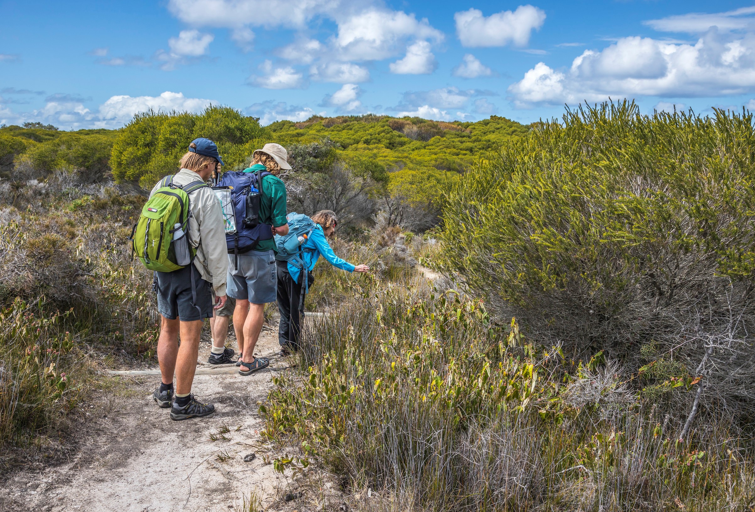 Tours and Trails - Eden Community Site | Sapphire Coast NSW